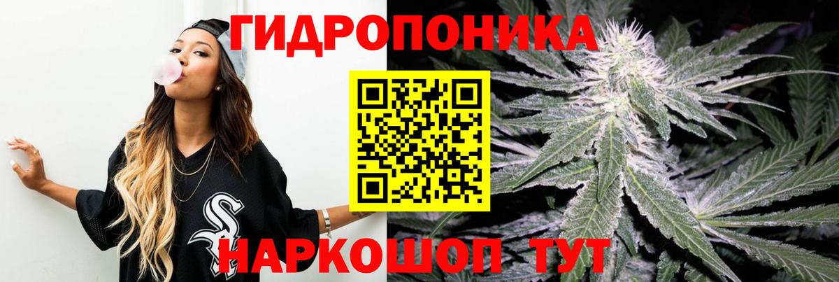 Шишки марихуана гибрид Сланцы